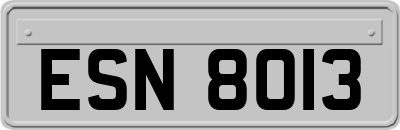 ESN8013