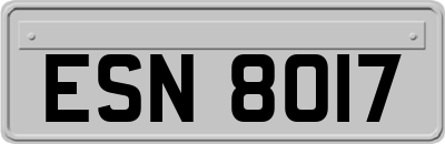ESN8017
