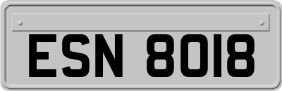 ESN8018