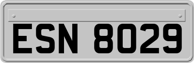 ESN8029