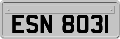 ESN8031