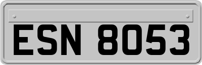 ESN8053