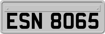 ESN8065