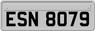 ESN8079