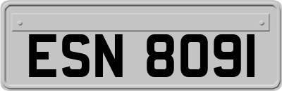 ESN8091