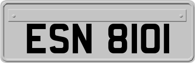 ESN8101