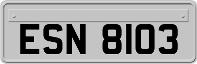 ESN8103