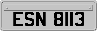 ESN8113