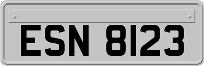 ESN8123