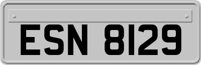 ESN8129