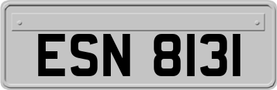 ESN8131