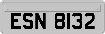 ESN8132