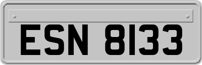ESN8133