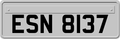 ESN8137
