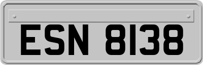 ESN8138