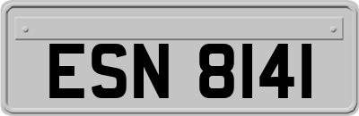 ESN8141