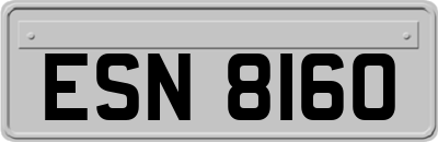 ESN8160