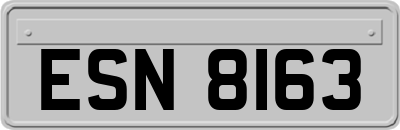 ESN8163