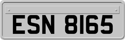 ESN8165