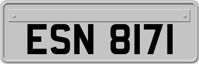 ESN8171