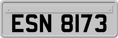 ESN8173
