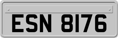 ESN8176