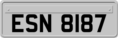 ESN8187