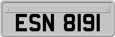 ESN8191