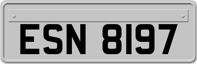 ESN8197