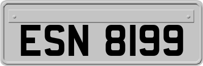 ESN8199