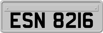 ESN8216