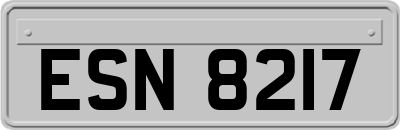 ESN8217