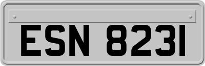 ESN8231