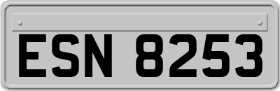 ESN8253