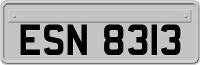 ESN8313