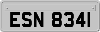 ESN8341