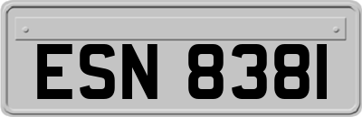 ESN8381