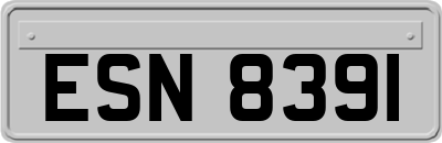 ESN8391