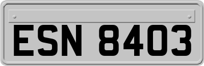 ESN8403