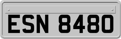 ESN8480