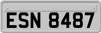 ESN8487