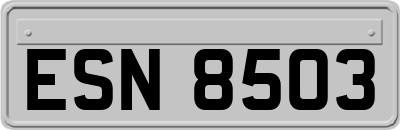 ESN8503