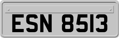 ESN8513