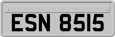 ESN8515