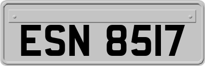 ESN8517