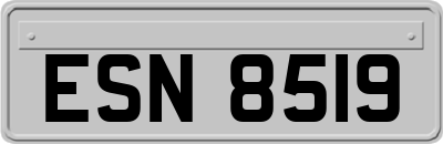 ESN8519
