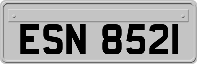 ESN8521