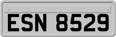 ESN8529