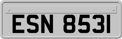 ESN8531