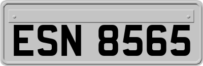 ESN8565